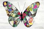Butterfly by Aimee Wilson