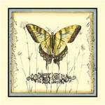 Butterfly and Wildflowers III by Jennifer Goldberger