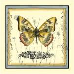 Butterfly and Wildflowers IV by Jennifer Goldberger