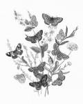 Butterfly Bouquet I Linen BW I by Wild Apple Portfolio