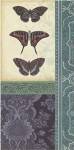 Butterfly Brocade II by Vision Studios