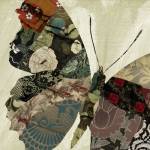 Butterfly Brocade III by Color Bakery