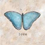 Butterfly Expressions II by Caitlin Dundon