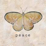 Butterfly Expressions IV by Caitlin Dundon