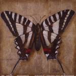 Butterfly I by Patricia Pinto