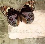 Butterfly Notes IV by Beth Anne Creative