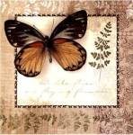 Butterfly Notes V by Beth Anne Creative