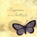 Butterfly Notes XI by Beth Anne Creative