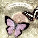 Butterfly Notes XII by Beth Anne Creative