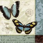 Butterfly Patchwork II by Pela Design