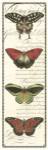 Butterfly Prose Panel I by Vision Studios
