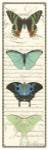 Butterfly Prose Panel II by Vision Studios