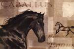 Caballus I by Mark Chandon