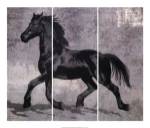Caballus III by Mark Chandon