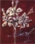 Cabernet Blossoms I by Liz Jardine