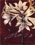 Cabernet Blossoms II by Liz Jardine