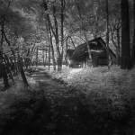 Cabin in the Woods by Michael de Guzman