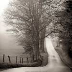 Cades Cove by Nicholas Bell