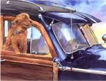 California Cruisin by Bill Drysdale