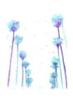 California Dreaming by Jessica Durrant