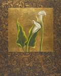 Calla Lily With Arabesque II by Patricia Pinto