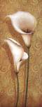 Callas Dance II by Daphné Brissonnét