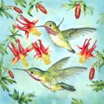 Calliopes Hummingbirds by Rosiland Solomon