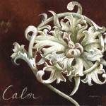 Calm by Maria Woods