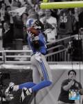 Calvin Johnson 2013 Spotlight Action