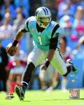 Cam Newton 2013 Action
