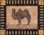 Camel by Pamela Gladding