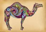 Camel by Green Girl Canvas