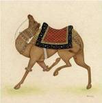 Camel from India I by Ram Babu
