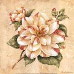 Camellia by Pamela Gladding