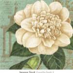 Camellia Study I by Suzanne Nicoll