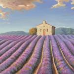 Campi di Lavanda (Detail) by Adriano Galasso