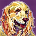 Candy by Sally Evans