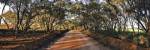 Canny Road by Wayne Bradbury Photography