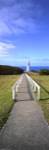 Cape Otway by Wayne Bradbury Photography