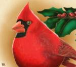 Cardinal by Bill Abbott