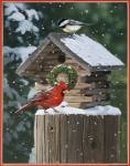 Cardinal / Chickadee In Snow by William Vanderdasson