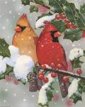 Cardinal Couple With Holly by William Vanderdasson