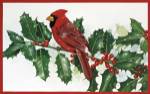 Cardinals & Holly by William Vanderdasson