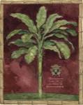 Caribbean Palm II With Bamboo Border by Betty Whiteaker