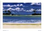 Caribbean Palms by Rick Novak