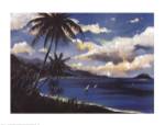 Caribbean Paradise by Trevor Green