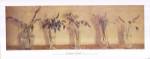 Carmen Galofr - Plantas Aromticas Size 39x15 by Carmen Galofré