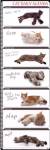 Cat Agenda by Yoneo Morita