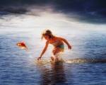 Catch Me If You Can by Ata Alishahi