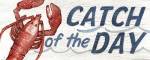 Catch of the Day by Avery Tillmon